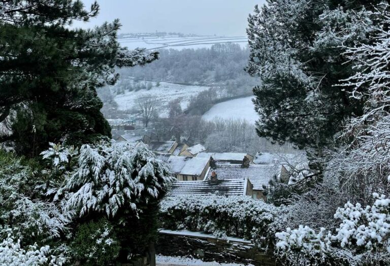 Snow on Houses